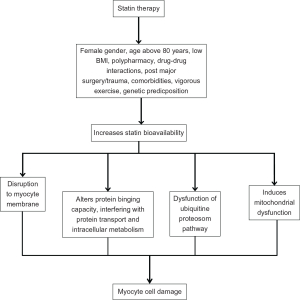 Statin Therapy